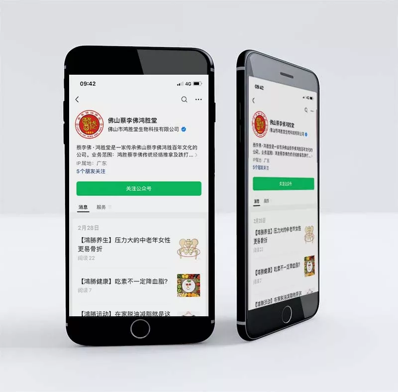 佛山蔡李佛鸿胜堂